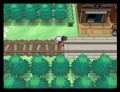Pokemon White Version - screenshot}