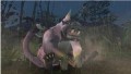 PSP Essentials Monster Hunter 2 - screenshot}
