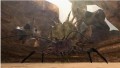 PSP Essentials Monster Hunter 2 - screenshot}