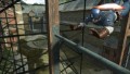 Captain America Super Soldier - screenshot}