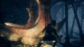 Dark Souls: Limited Edition - screenshot}