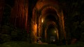 Dark Souls: Limited Edition - screenshot}