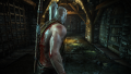 The Witcher 2: Assassins of Kings - version 2.0 - screenshot}