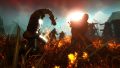 The Witcher 2: Assassins of Kings - version 2.0 - screenshot}