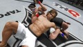 UFC Undisputed 3  - screenshot}