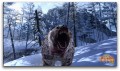 Cabelas Big Game Hunter 2012 plus Gun Bundle - screenshot}