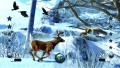Cabelas Big Game Hunter 2012 plus Gun Bundle - screenshot}
