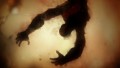 God of War: Ascension - screenshot}