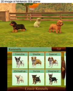 i mellemtiden badning Betjening mulig Nintendo 3DS Selects Nintendogs & Cats: French Bulldog - CentreSoft