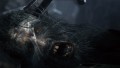 PlayStation Hits: Bloodborne - screenshot}