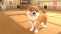 Little Friends: Dogs & Cats - screenshot}