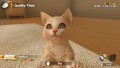 Little Friends: Dogs & Cats - screenshot}