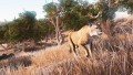 Hunting Simulator - screenshot}