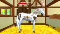 Bibi & Tina: Adventures with Horses - screenshot}