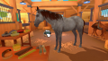 Equestrian Training - screenshot}