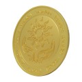 DUNGEONS & DRAGONS 24k Gold Plated Amulet of Health Medallion - screenshot}