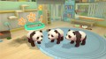 My Universe: Pet Clinic – Panda Edition - screenshot}