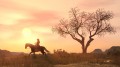 Red Dead Redemption - screenshot}